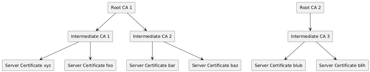 Chain of trust visualization